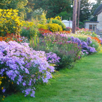 The Traditional Perennial Border in autumn