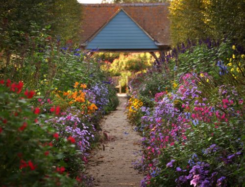Aston Pottery Gardens -Hornbeam Walkway October 2026
