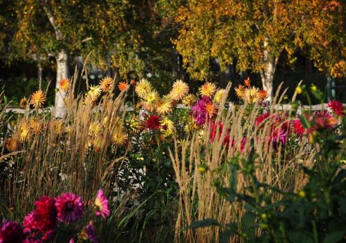 Aston Pottery Gardens - October 2026