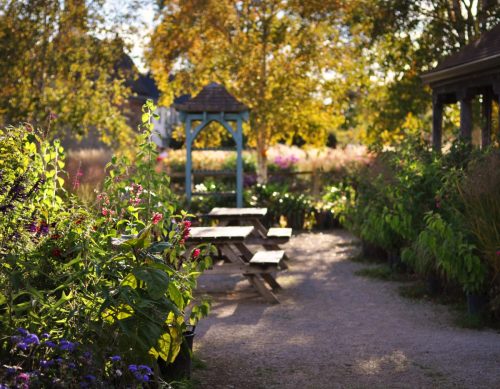 Aston Pottery Gardens - October 2026
