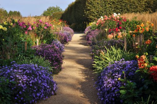 Aston Pottery Gardens - Dahlia Borders October 2026